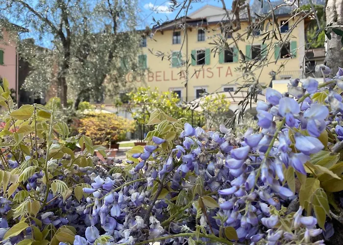 Hotel Bellavista
